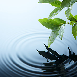 water-beauty
