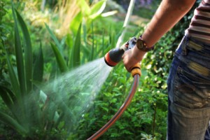 Garden irrigation system
