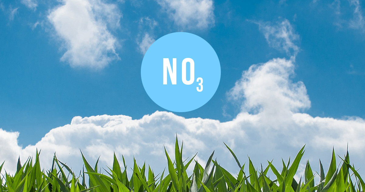 nitrates_thumb