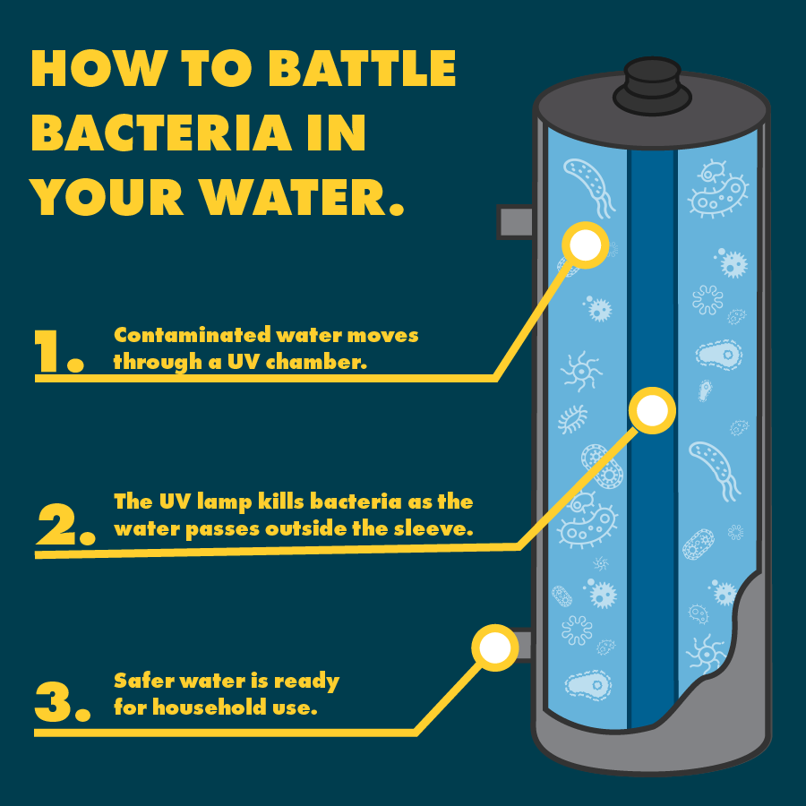 How to Battle Bacteria in Your with UV Disinfection