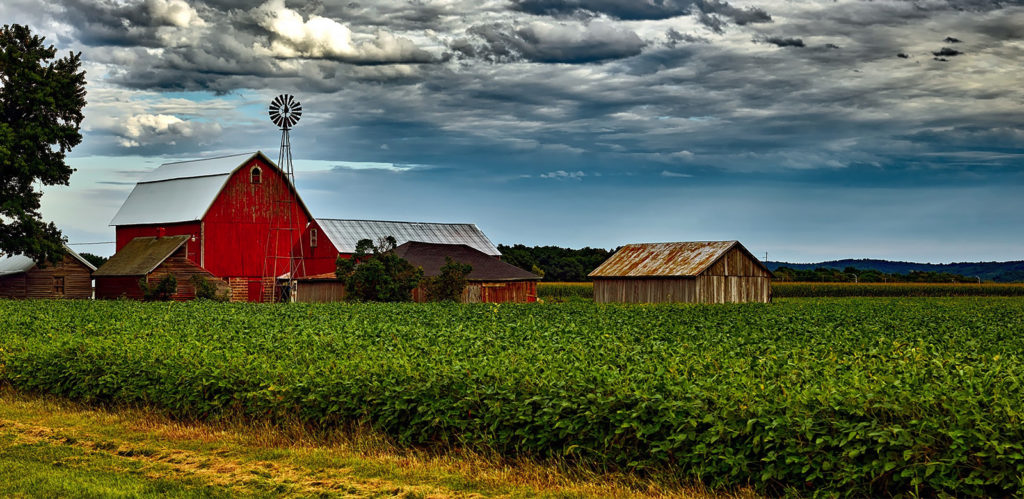 Farm Crops and Barn