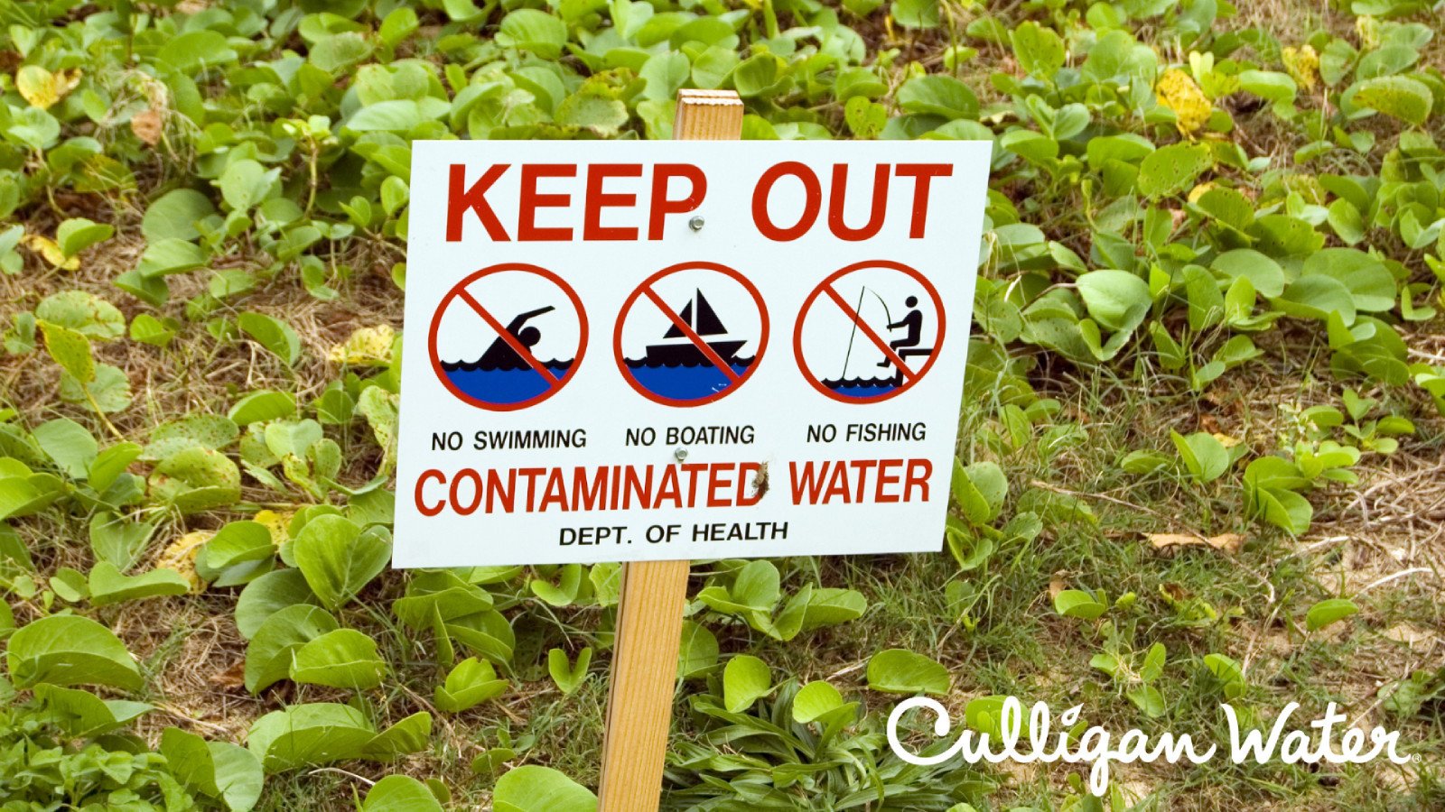 A sign in a grassy field warning of contaminated water